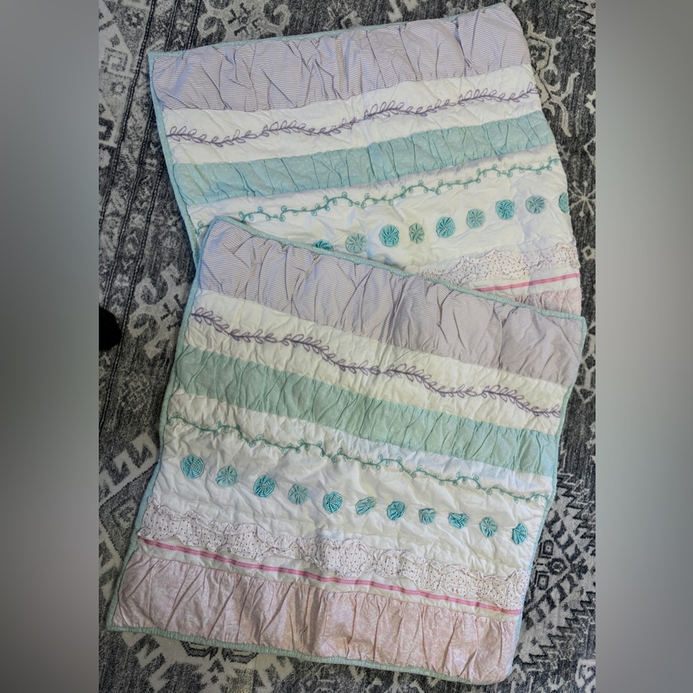 Pottery Barn Pillow Shams SET of 2 NWOT